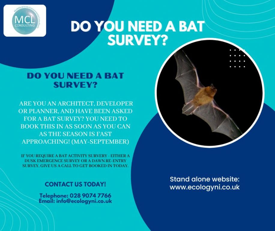 Do you need a bat survey this year?
